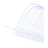 V-loop
